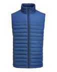 Arches Vest